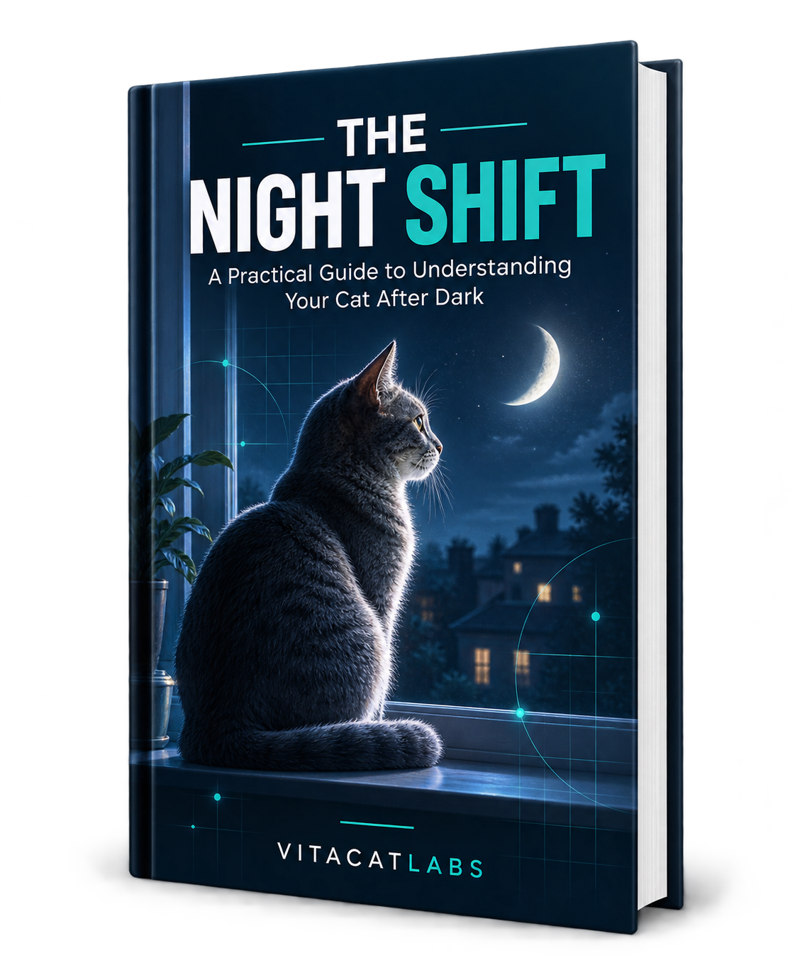 The Night Shift (eBook)