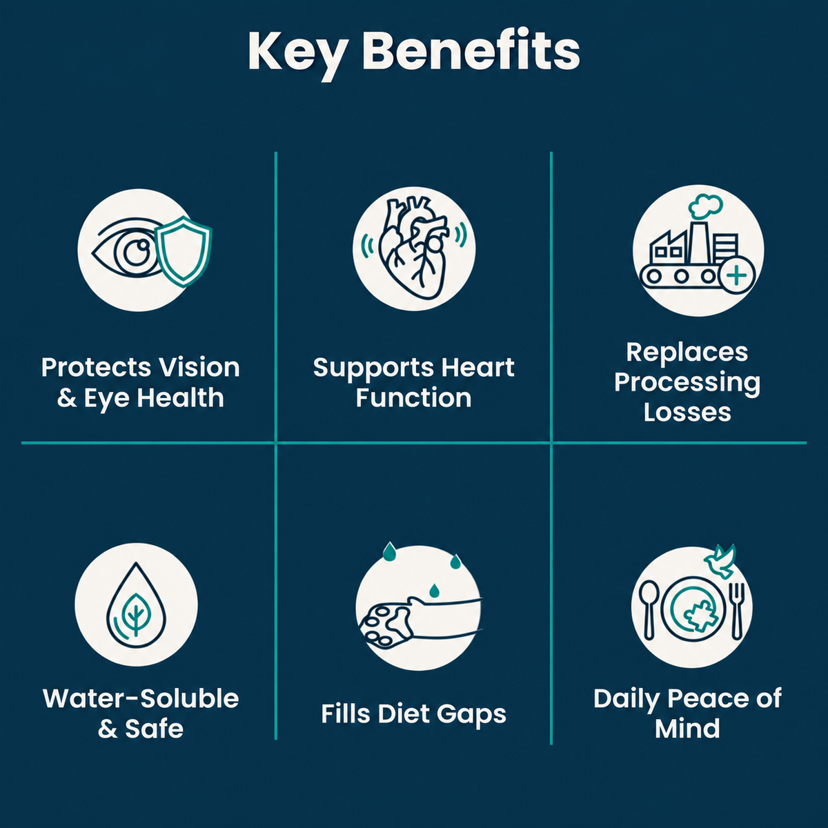 Vitacatlabs™ Taurine Supplement